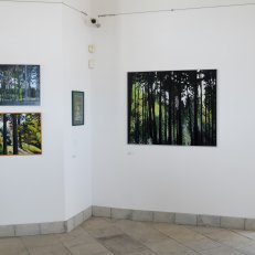 28.8.2020 v Galerii ve Věži ve Vysokém Mýtě (6)